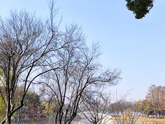 -月湖风景区
