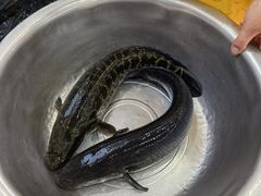 -老四川平头酸菜鱼(衙前店)