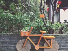 景点-天目湖山水园