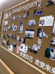 -上海首尔丽格医疗美容医院