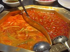 -蜀九香火锅(彩虹店)