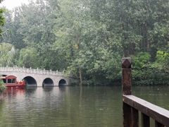 -溱湖国家湿地公园