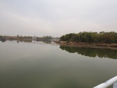 -大兴滨河森林公园