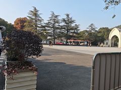 -佘山国家森林公园-1号地面停车场