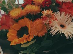 -谷莠子花艺·气球派对·绿植造景·花艺沙龙(金光华广场店)