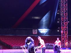 -石林冰雪海洋世界