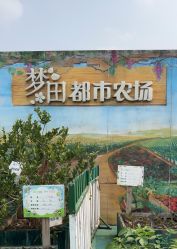 -梦田都市农场(银泰城店)