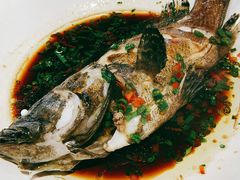 龙趸石斑鱼-盒马鲜生(杭州运河上街店)