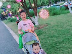 -上海长兴岛郊野公园