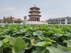 -大悲禅寺