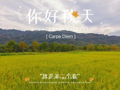 -艾米稻香小镇