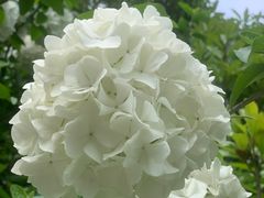 -杭州城北体育公园