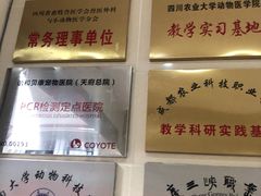 -谐和贝康宠物医院24小时·宠保定点(急重症转诊中心)
