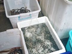-李东农庄(中南百草园地标店)