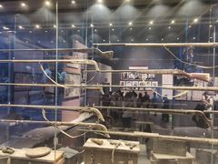 -沈阳“九·一八”历史博物馆