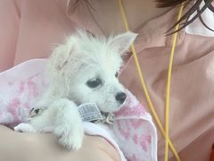 -天目湖松岭竹海漂流