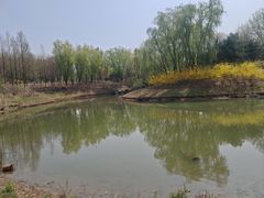 -大兴滨河森林公园
