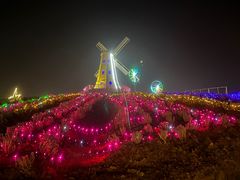 -大塘金香草谷