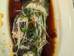 清蒸石斑鱼-老洋房花园饭店(绍兴路店)