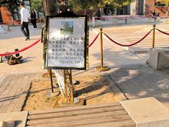 -中国艺术研究院油画院