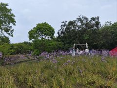-鹅湖玫瑰文化园