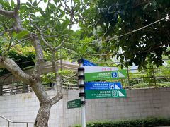 -石排湾郊野公园