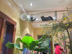 -萤火虫咖啡(后海店)