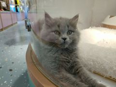 -龟与熊猫宠物公园(南坪店)