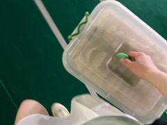 -东丽温泉羽毛球