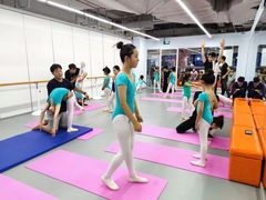 -舞蕾舞蹈·专注中国舞18年(天通苑中心校区)