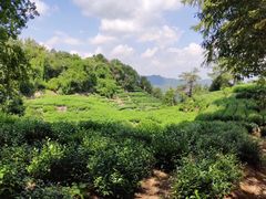 -云洞岩风景区