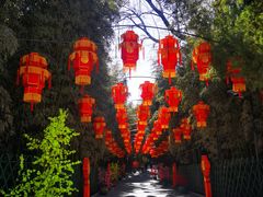-红螺寺