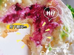 -今日·TODAY手作低脂动物奶油蛋糕定制(高新万达店)
