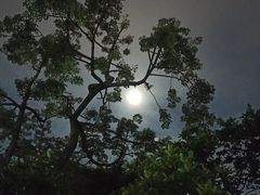 -晓港公园
