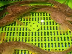 -三个渔夫·蒸汽海鲜(小白楼店)