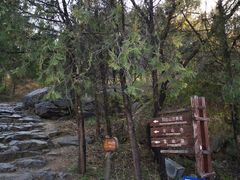 -阳台山自然风景区