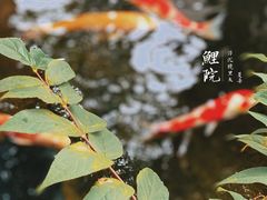 -鲤院·新中式美学·庭院餐厅(夫子庙店)
