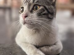-金瑶池·猪肚鸡·传统冬瓜盅(20年白沙店)