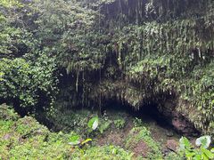 -海口火山口国家地质公园
