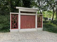 -金花茶公园