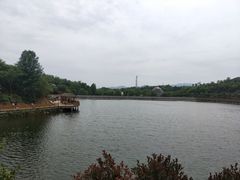 -中国西峡恐龙遗迹园
