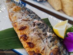 烤青花鱼-酒井酱子·深夜食堂(东城汇店)
