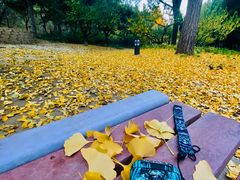 -元大都城垣遗址公园