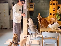 -豆逗聊愈猫阁Easy Life