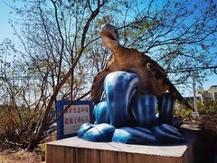-广东惠东海龟国家级自然保护区