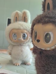 -HYOUNG 禾漾·BTL官方美学中心