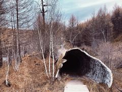 -阿尔山市大兴安岭奥伦布坎景区