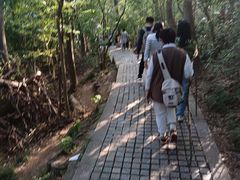 -紫金山山顶公园
