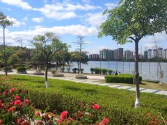 -飞来湖湿地公园