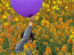 -中国天府农业博览园